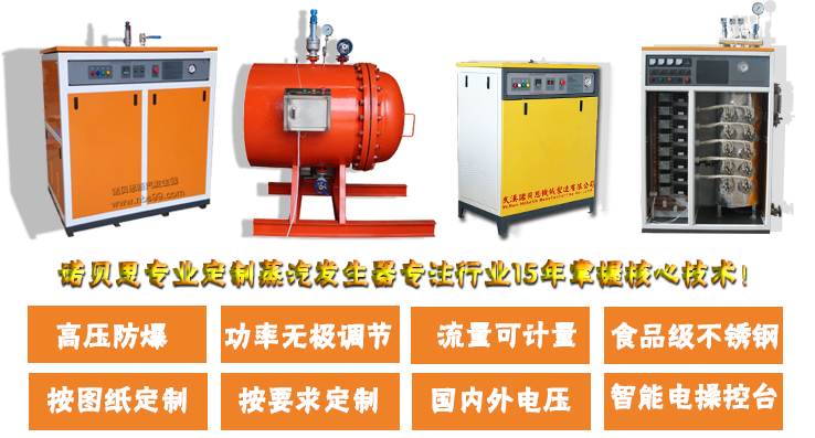 好色先生污版APP定制蒸汽发生器及配套设备展示