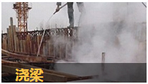 桥梁养护系列 桥梁养护系列