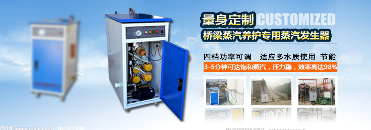 路桥养护蒸汽发生器 路桥养护蒸汽发生器