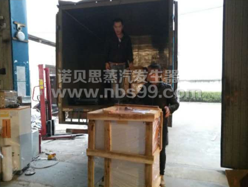 机械包装蒸汽发生器 机械包装蒸汽发生器