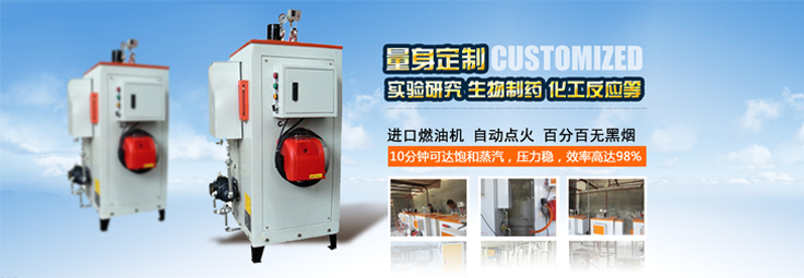 全自动燃油蒸汽发生器（锅炉）