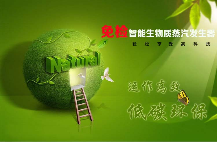 生物质颗粒锅炉取代燃煤工业锅炉的节能性分析 生物质颗粒锅炉取代燃煤工业锅炉的节能性分析