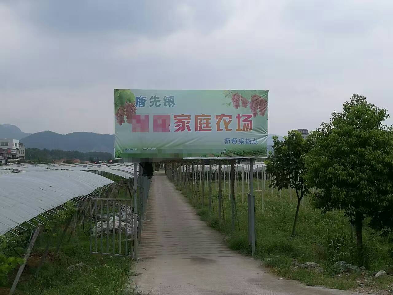 酿酒用蒸汽发生器 酿酒用蒸汽发生器