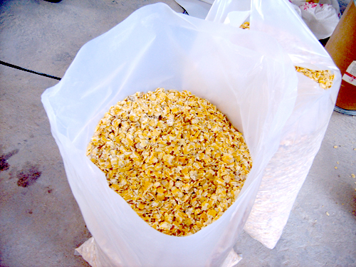 谷物蒸汽加工蒸汽发生器 谷物蒸汽加工蒸汽发生器