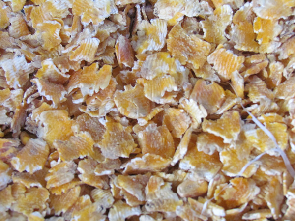 蒸汽压片配套好色先生IOS破解版 蒸汽压片配套好色先生IOS破解版