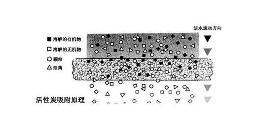 活性炭消毒好色先生IOS破解版