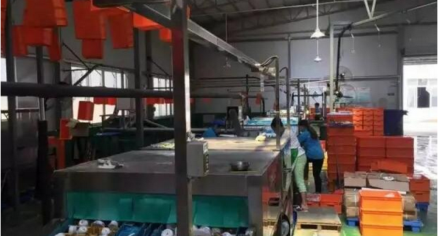 高温消毒好色先生IOS破解版