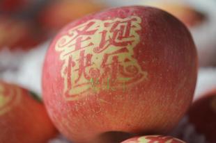 好色先生污版APP元旦