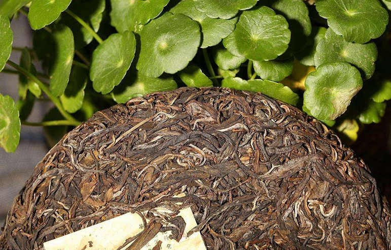 茶叶烘干蒸汽发生器 茶叶烘干蒸汽发生器