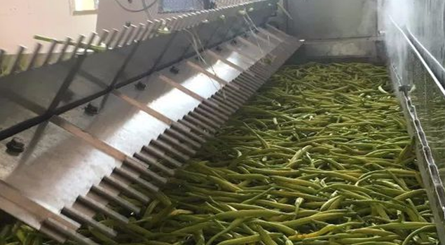 黄花菜烘干蒸汽发生器 黄花菜烘干蒸汽发生器