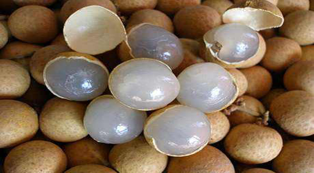 龙眼烘干蒸汽发生器 龙眼烘干蒸汽发生器