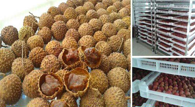 龙眼烘干蒸汽发生器 龙眼烘干蒸汽发生器