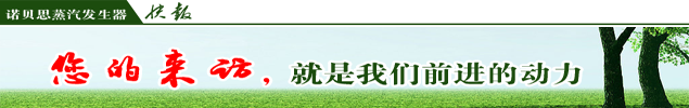月饼加工蒸汽发生器 月饼加工蒸汽发生器