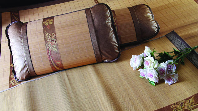 小型电蒸汽发生器 小型电蒸汽发生器