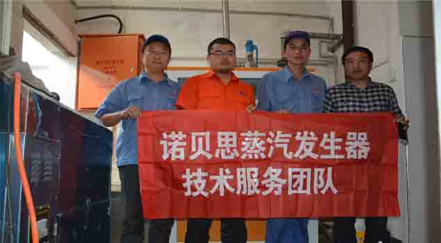 湖北蒸汽发生器 湖北蒸汽发生器