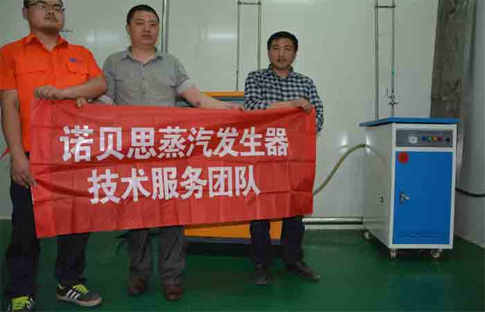 湖北蒸汽发生器 湖北蒸汽发生器