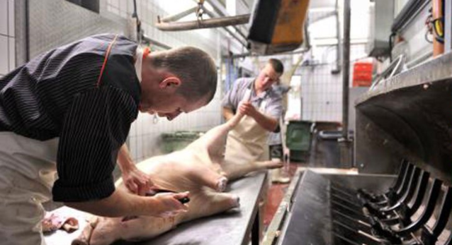 脱猪毛蒸汽发生器 脱猪毛蒸汽发生器