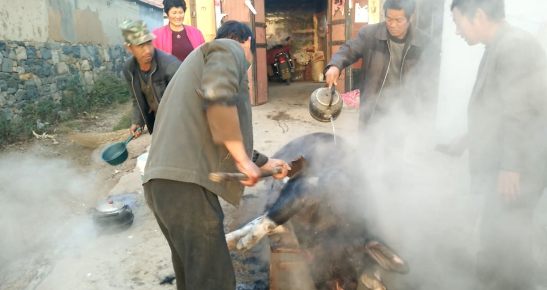脱猪毛蒸汽发生器 脱猪毛蒸汽发生器