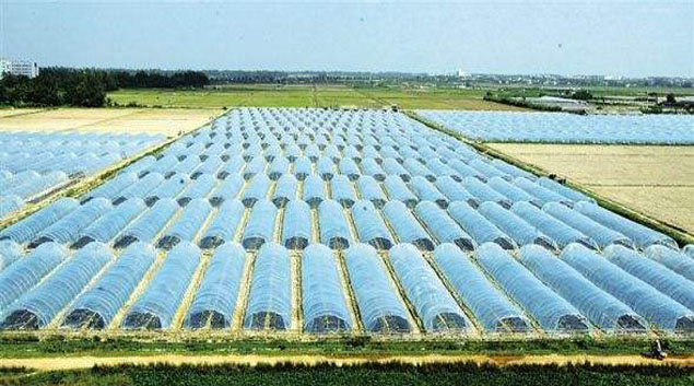 91好色先生IOS下载