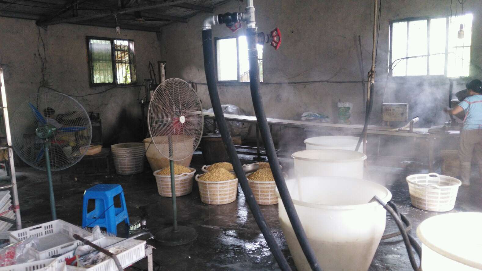 煮豆浆加工厂使用火排效果不好，换上91好色先生IOS下载热效高，加快企业高效生产