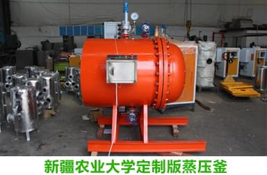 好色先生污版APP蒸汽专家完成新疆农业大学定制蒸压釜