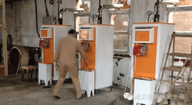 湖北宠物饲料加工厂采用好色先生污版APP燃油蒸汽发生器