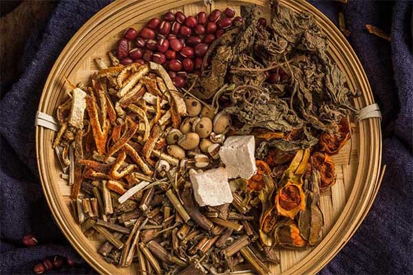 颠覆中药材行业生产工艺流程，91好色先生IOS下载的作用